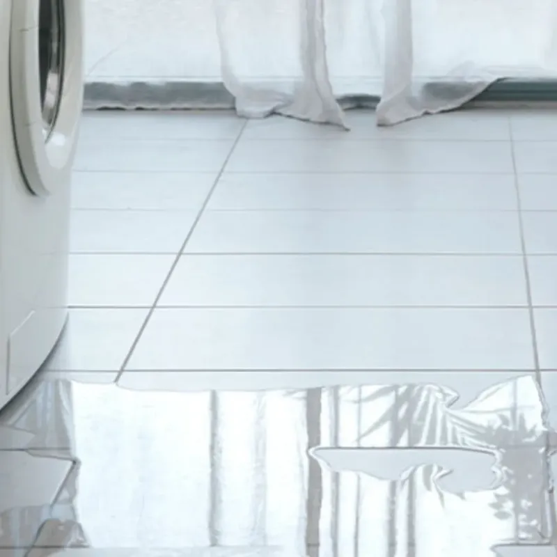 Appliance Leak Cleanup in West Haven-Sylvan, OR